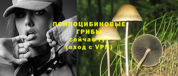 не бодяженный Киренск