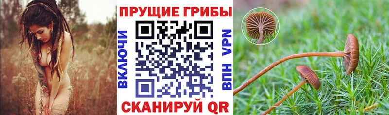 Галлюциногенные грибы мухоморы Россошь